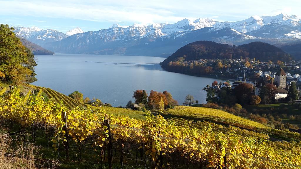 Appartamento Oase Zum Sein Spiez Esterno foto